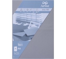 ARTOZ Karten 1001 A6 220g, graphit 5 Blatt, 107322262