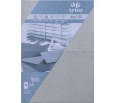 ARTOZ Cartes 1001 A5 220g, gris clair 5 feuilles, 107392262