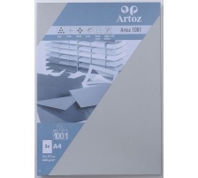 ARTOZ Cartes 1001 A4 220g, gris 5 feuilles, 107696142