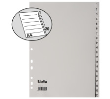 BIELLA Register PP grau A4 20-teilig blanko, 47142000