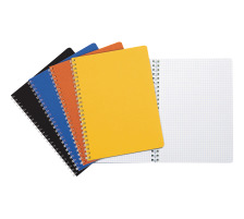 12 X BIELLA Carnet spirale TopColor A4 color quadrill, ass., 552454.4