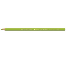 CARAN D'ACHE Farbstifte Supracolor oliv, 3888.245