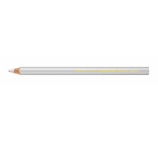 CARAN D'ACHE Colour Block silber FSC metallic, 494.498