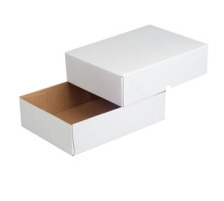 ELCO Paperbox Pac-it 300x220x45mm weiss 5 Stck, 74565.12