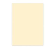 ELCO Bropapier Color A4 80g, hellchamois 100 Blatt, 74616.71