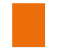 ELCO Office Color Papier A4 80g, orange 100 Blatt, 74616.82