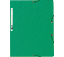 EXACOMPTA Pochette  lastique A4 vert, 55503E