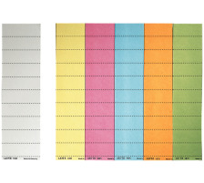 LEITZ Beschriftungsschild 60x21mm weiss 100 Stck, 19010001