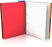 OXFORD Managerbook A4+ liniert 80 Blatt, 400010756