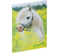 PAGNA Freundebuch kleines Pony 60S, 20346-15