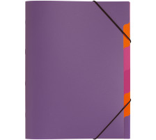 PAGNA Dossier de coll. A4 lilac 5 compart., 41803-12