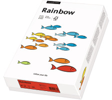 PAPYRUS Rainbow Paper FSC A4 80g, chamois 500 feuilles, 88042250