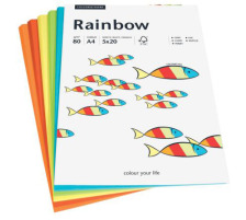 PAPYRUS Rainbow Mixpack intensiv 100 Blatt, 88043188