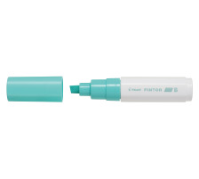 PILOT Marker Pintor 8.0mm pastell grn, SWPTBPG