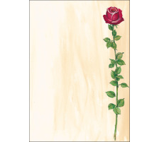 SIGEL Designpapier A4 Rose Bloom, 90g 25 Blatt, DP695