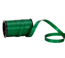 SPYK Band Poly 10mmx20m grn, 379.81