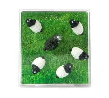 TRENDFORM Magnete SHEEP 6er Set assortiert, FA3737