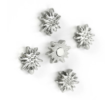 TRENDFORM Magnete EDELWEISS 5er Set, silber, FA4509