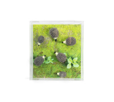 TRENDFORM Magnete HEDGEHOG 6er Set grau, FA4588