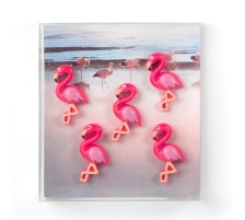 TRENDFORM Magnete FLAMINGO 5er Set, FA4615