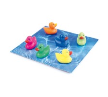 TRENDFORM Magnete DUCK 6er Set assortiert, FW3526