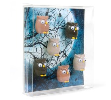 TRENDFORM Magnete OWL 6er Set assortiert, FW3542