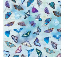 URSUS Scrapbook transp. papillon, bleu 5 pcs., 70010020